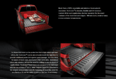 Weather Tech Tech Liner Truck Bed Protection SALE! $175.00/Installed, Tailgate: $65.00/Installed