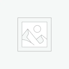 Uncategorized